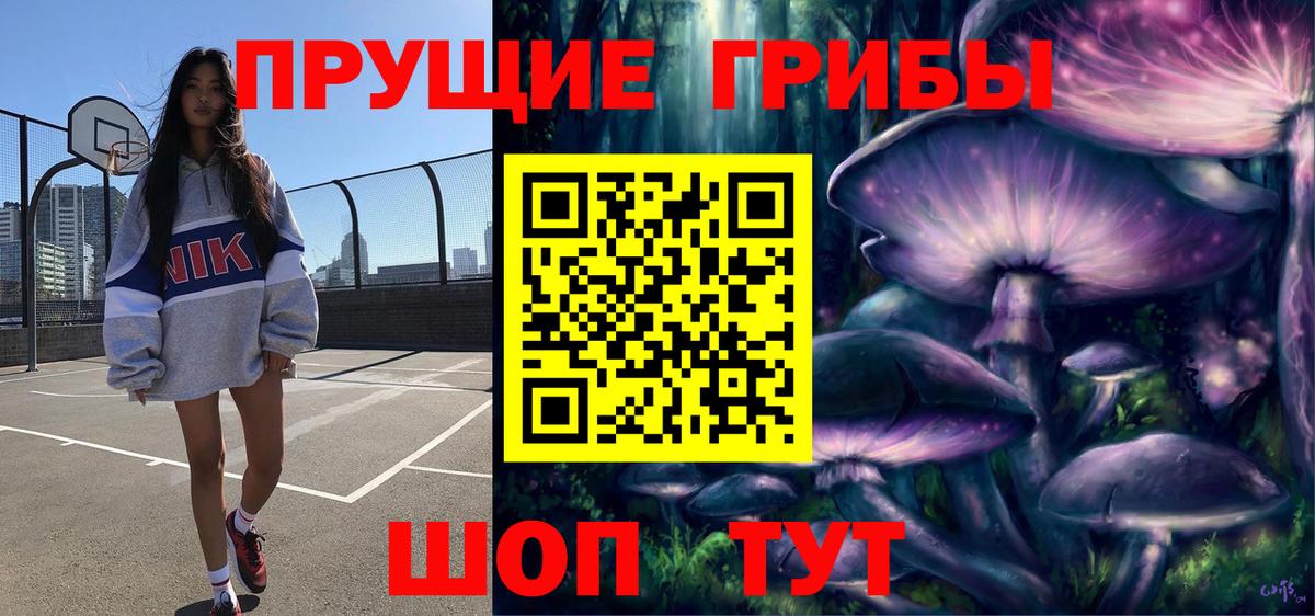 Галлюциногенные грибы Cubensis Димитровград