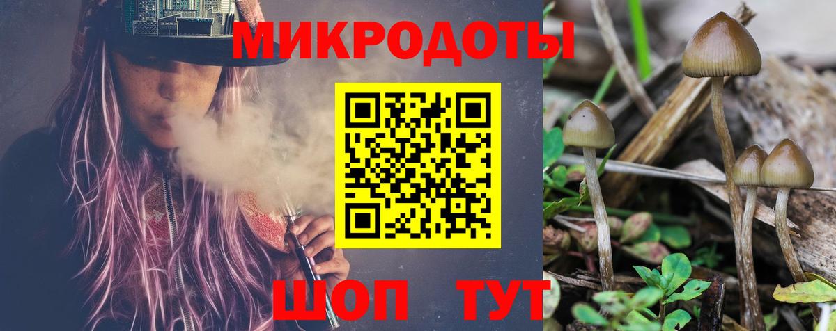 Димитровград  Псилоцибиновые грибы MAGIC MUSHROOMS  Вход с VPN  Галлюциногенные грибы ЛСД 